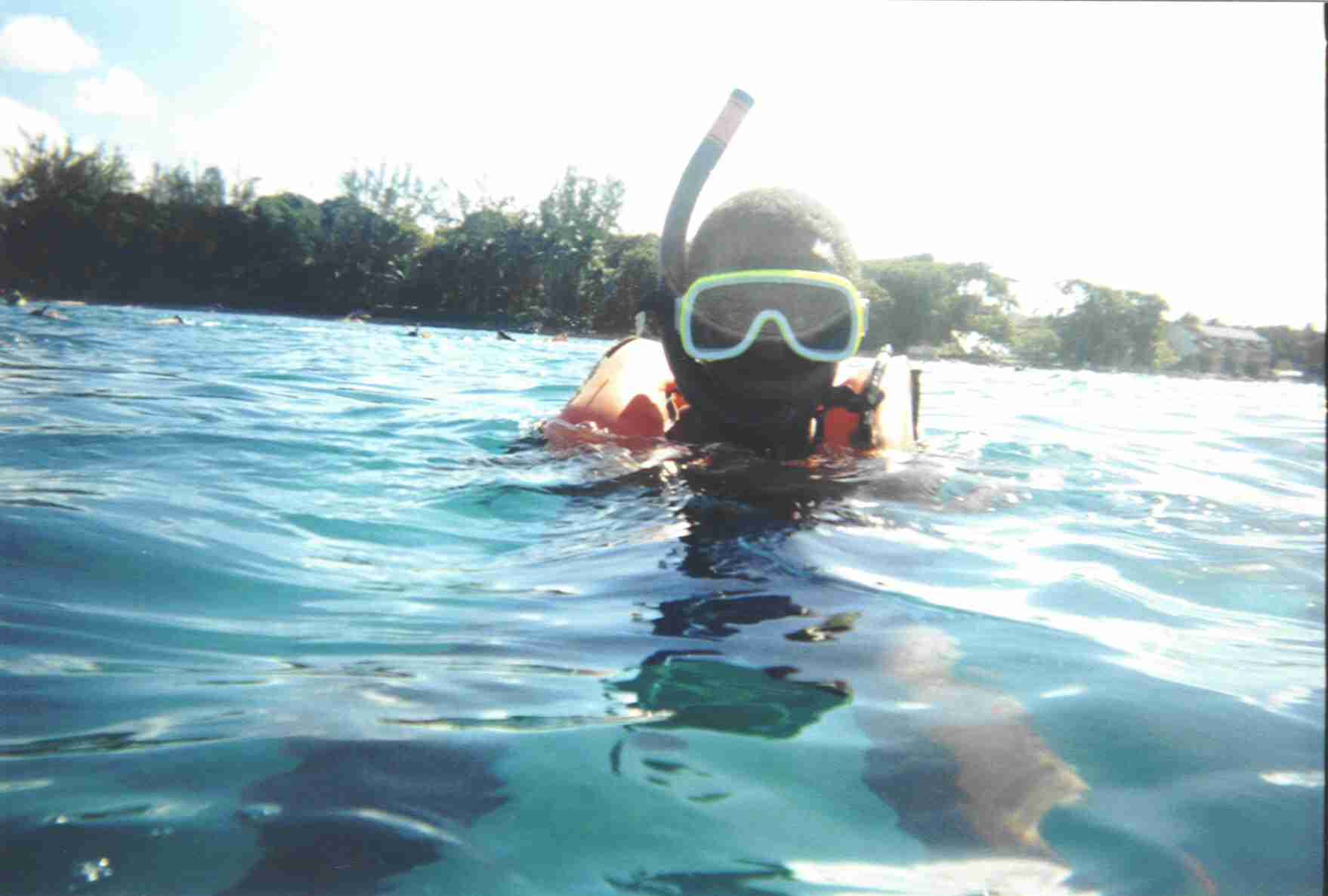 09Rogerscuba.jpg